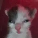 emoji_25 emoji_25
