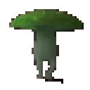 funky_darkgreen