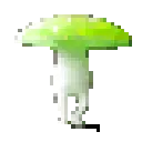 funkylime