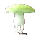 funkylightgreen