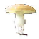 funkylightyellow