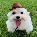 happy_dog