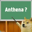 doge_stickerstelugu_1