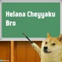 doge_stickerstelugu_15