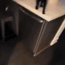 sf_cat_handshake