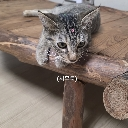 emoji_1 Discord Emoji - 고기먹고싶다