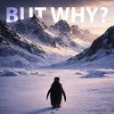 but_why