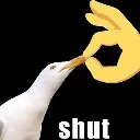 shut