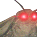 m_moth Discord sticker - Unsupervised Adults ¹⁸⁺
