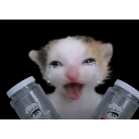 het_kho_ga_rui custom emote | fan anh độ mixue