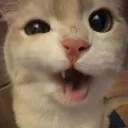 eehhh eehhh
