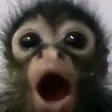 bariexOMGG bariexOMGG