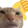thumbsdowncat Discord emoji