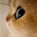 emoji_13 emoji_13