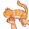 catgun
