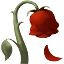 wiltedflower