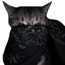 GothCatBandanaBlack