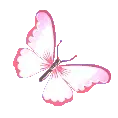 ButterflyPink