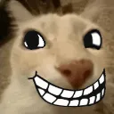 IMayBeTrolling IMayBeTrolling