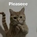 SIR_piliz SIR_piliz