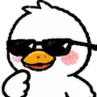 gooseShades