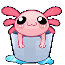 axolotl