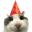 partycat