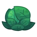 cabbage