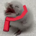 V_scarfiiii V_scarfiiii