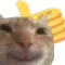 catthumbsup
