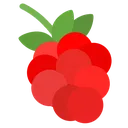 Raspberry