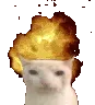 CatExplode