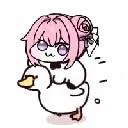 dorodash