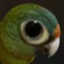 loro