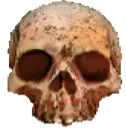 hl2skull