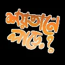 SIR_soytane_lare