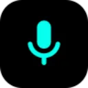voice