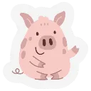 pig