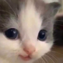 swtkitty custom emote | Just Cum