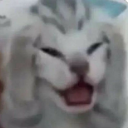 panicking custom emote - Rᴇʙɪʀᴛʜ Dᴇʟɪᴄᴀᴄɪᴇꜱ | Explore New World