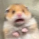 shocki custom emote | Rᴇʙɪʀᴛʜ Dᴇʟɪᴄᴀᴄɪᴇꜱ | Explore New World