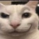 freaky_cat Discord Emoji - ✯ Lᴜᴍɪɴᴏᴜꜱ