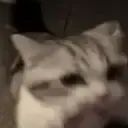 gib