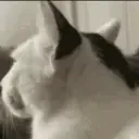 huh