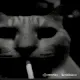 Cat_smoke