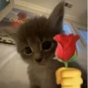 emoji_122