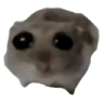 sad_desipunjab Discord Emoji from Desi Punjab (Pakistani, Indian)