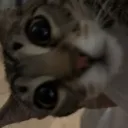 emoji_3