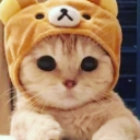 A small kitten with large eyes wearing a brown bear hat looks directly at the camera.