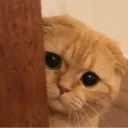 peek Discord emoji
